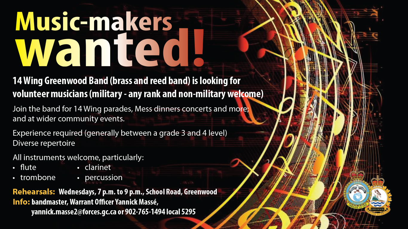 14 Wing band looking for music-makers