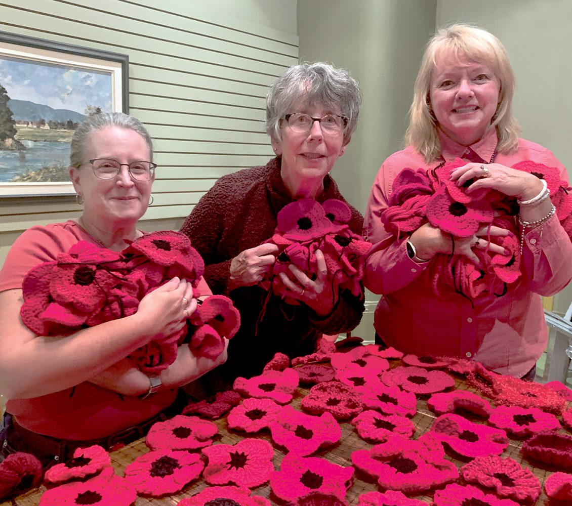 Poppy cascade a ‘visual pledge for all of us: never again’