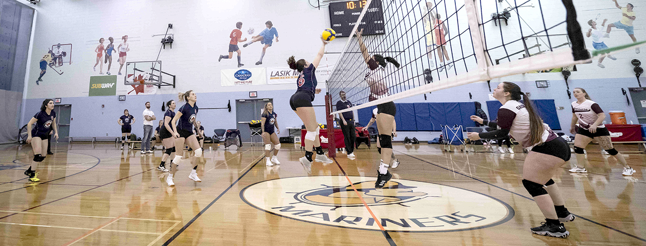 Halifax teams dominate volleyball