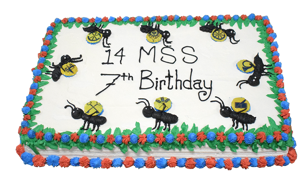 14 MSS team marks birthday (a chance to eat cake!)