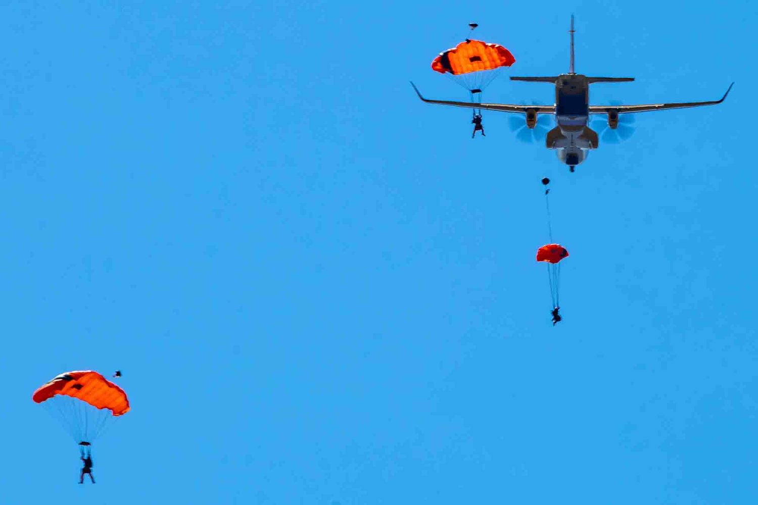 ‘Muscle movement’ behind 413’s massive Kingfisher prep