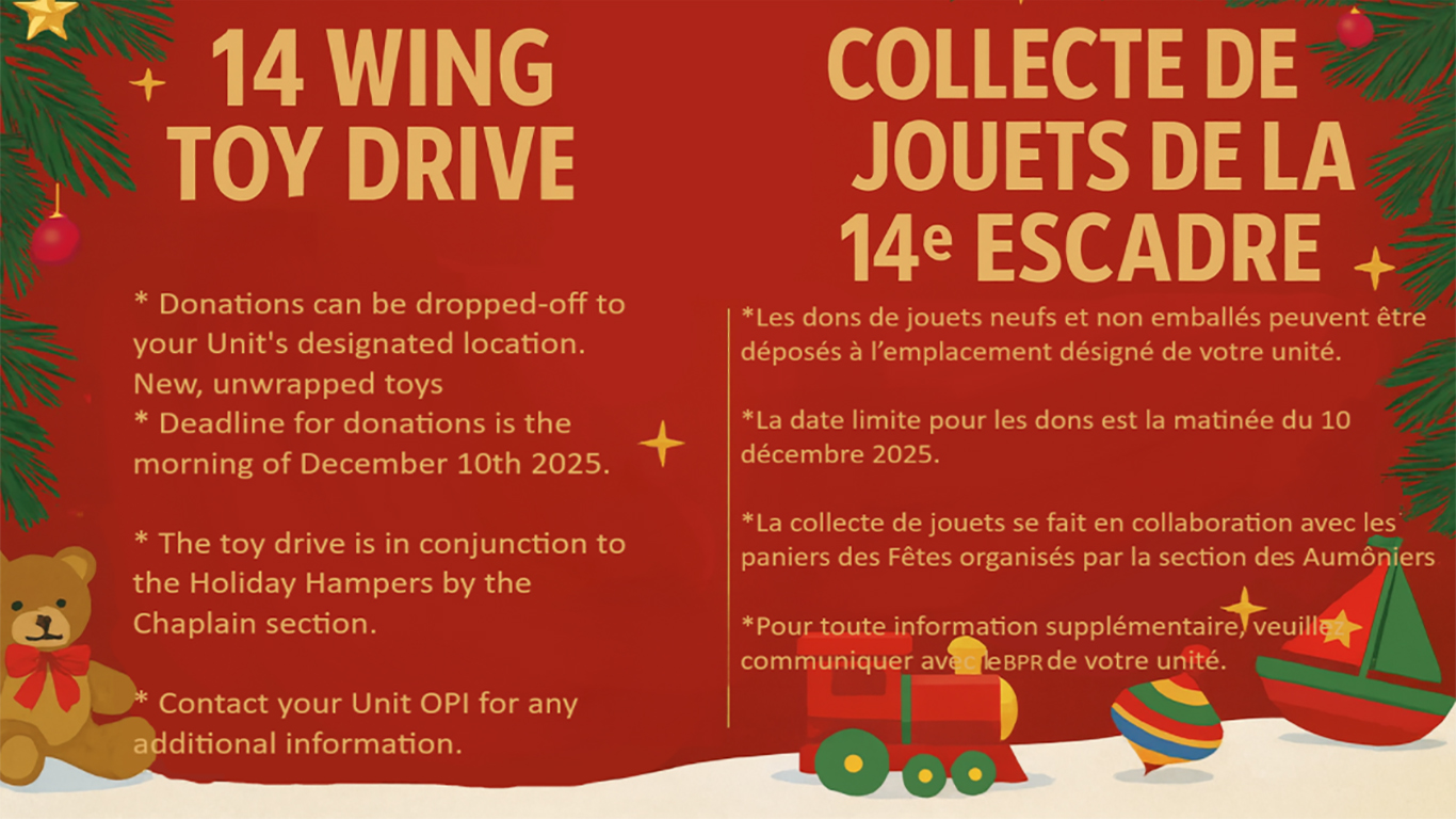Add a toy to 14 Wing holiday collection effort