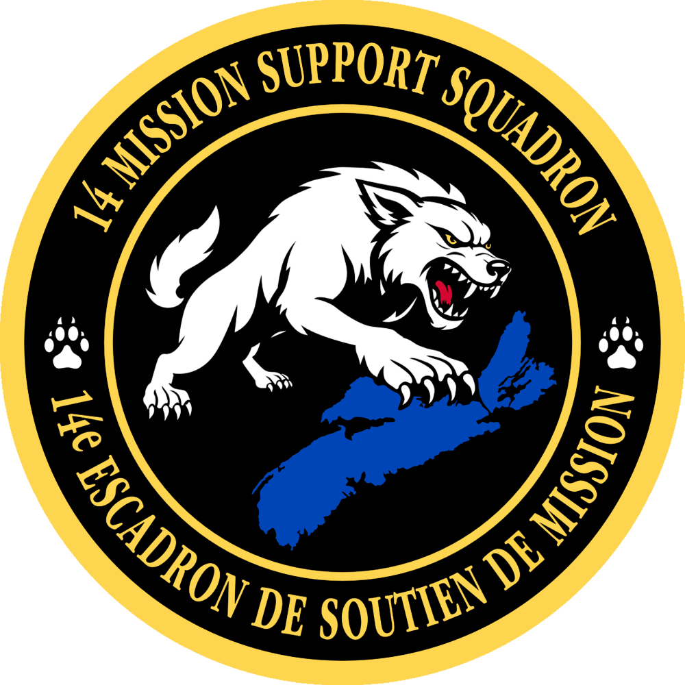14 MSS to unveil new unit patch in April 1 parade