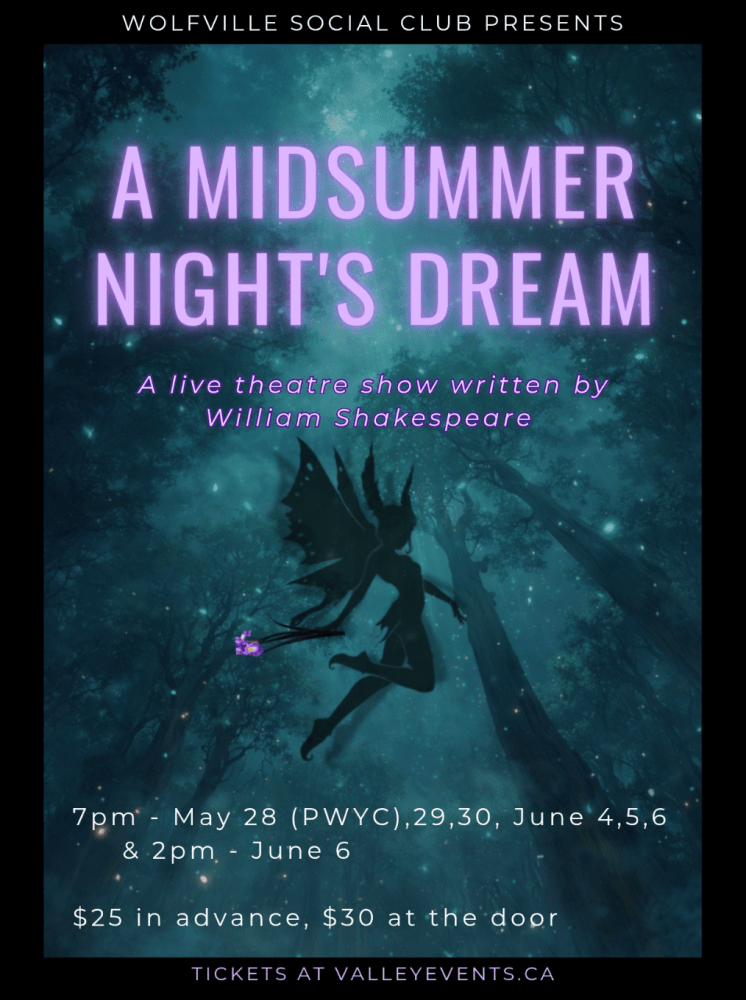 Down the Rabbit Hole and Into the Upside Down: A Midsummer Night’s Dream Reimagined