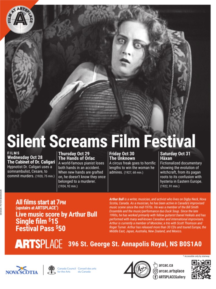 ‘Silent Screams’ Film Festival on at ARTSPLACE